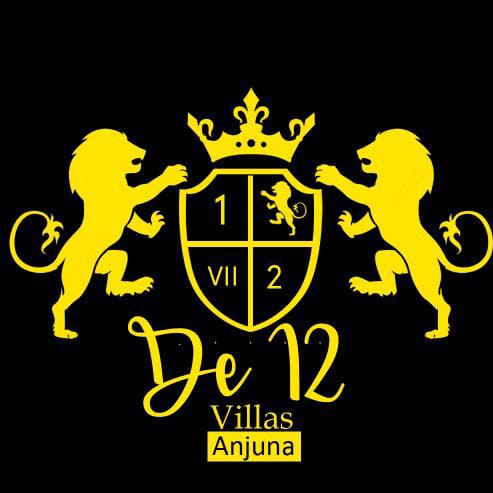 de-12-logo